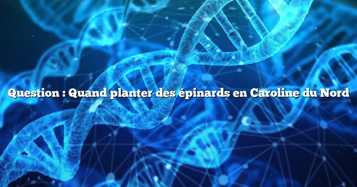 Question : Quand planter des épinards en Caroline du Nord